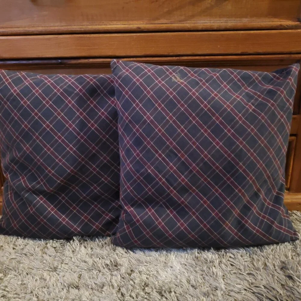 IKEA Fialisa Accent Pillows & Ingerilse Pillow Covers EUC